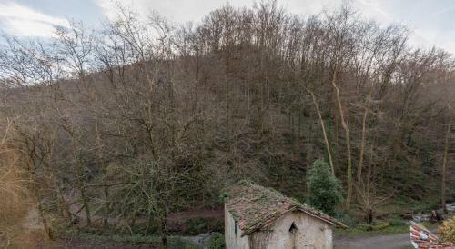 Apartamento Olotza - Baskey Rentals