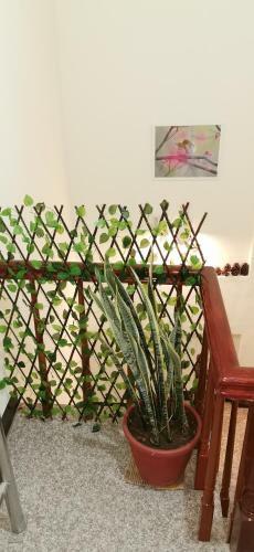Red Sorghum Homestay