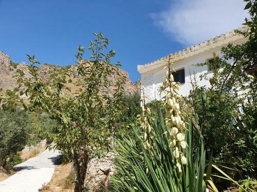 Casa Azul Cazorla