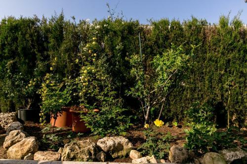Agroturismo La Casita de Mar�a