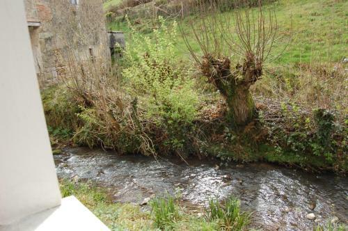 Apartamentos El Bosquexu