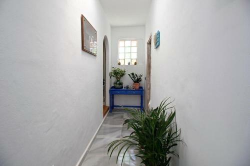 Villa Finca Alto Arena