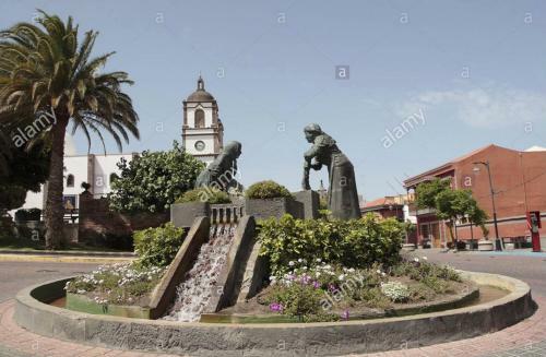 Villa Finca Alto Arena