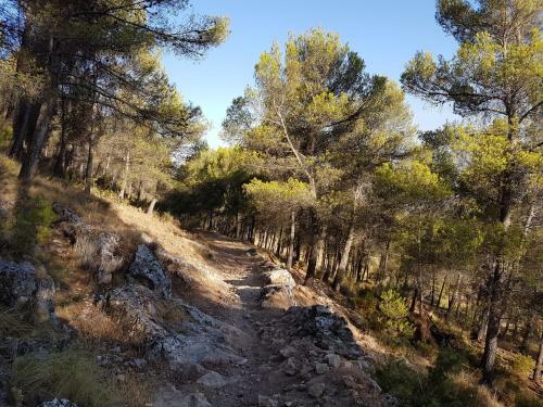 Apartamentos Rurales La Dehesa Del Acebuche