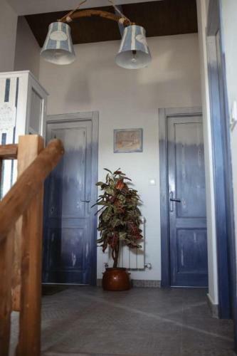 Casa Rural Del Salado