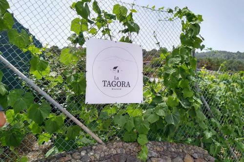 La Tagora Casa Rural En Icod de Los Vinos