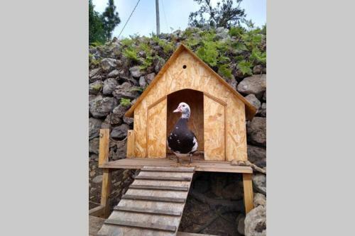 La Tagora Casa Rural En Icod de Los Vinos