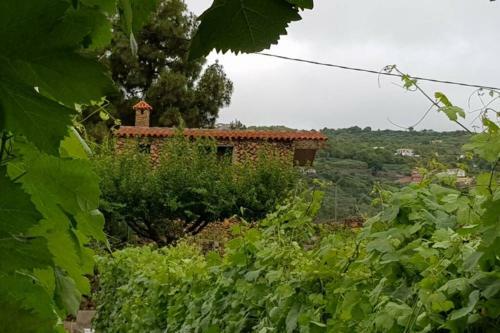 La Tagora Casa Rural En Icod de Los Vinos
