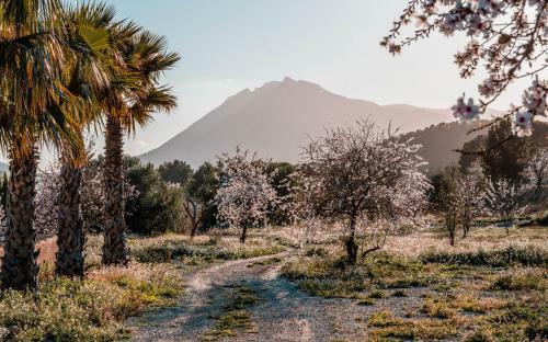 Villa Finca Les Coves