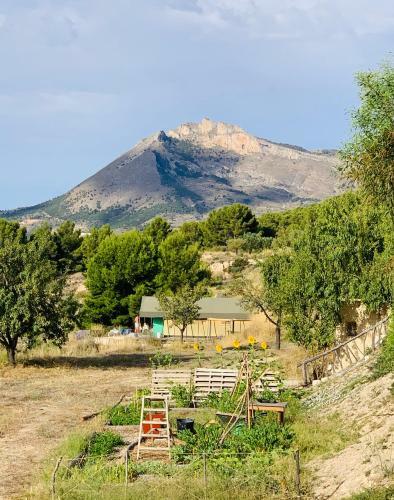 Villa Finca Les Coves