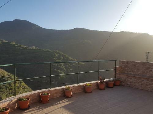 Agroturismo Casa Cueva Juncalillo Garden