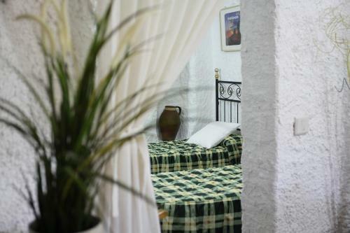 Agroturismo Casa-cueva Villa Alta