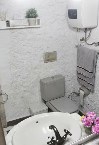 Agroturismo Casa-cueva Villa Alta