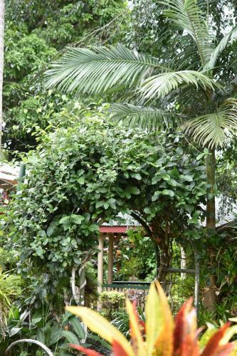 Hotel Eden House Retreat & Mountain Spa