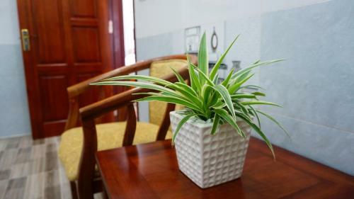 Hotel Homestay B?o Tr�n