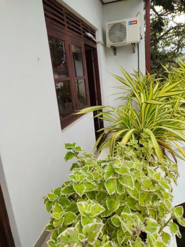 Bed & Breakfast 333 Hotel & Rooms
