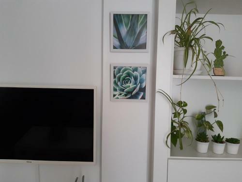 Apartamento Avda San Juan Bosco 21 �tico A