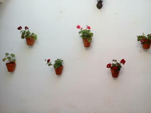Apartamentos Porvera Jerez