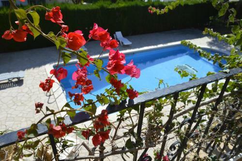 Villa Bella Cala