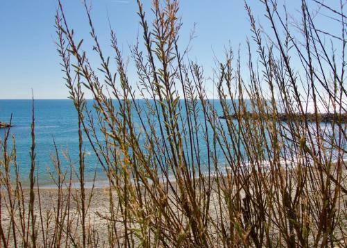 Apartamento Duplex Carma