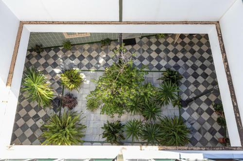 Apartamento Casa Palacio "moma"