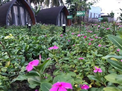 Nooi Homestay Living