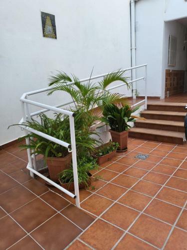 Apartamento Twins' Home Ponce, Jerez Centro, Wifi
