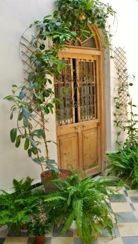 Apartamento Casa M�a