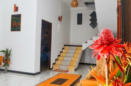 Hostal Calm Side Villa