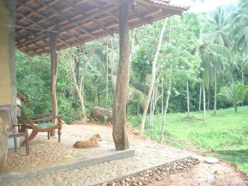 Villa Springwater