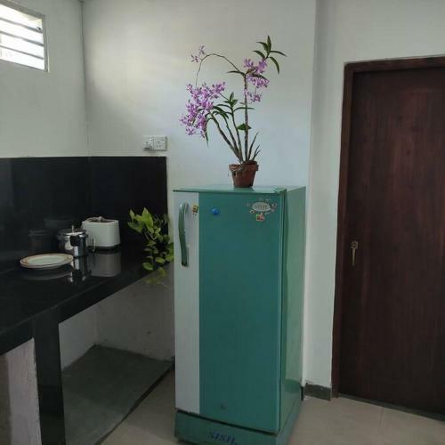 Apartamento Mango House