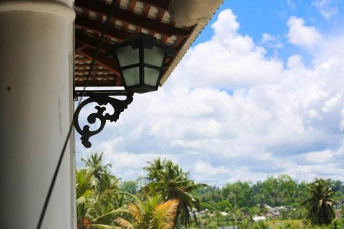 Bed & Breakfast Waterlily 508