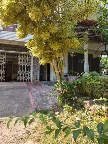 Apartamento William Villa ? B?