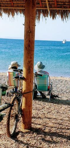Hostal Marts Hideaway