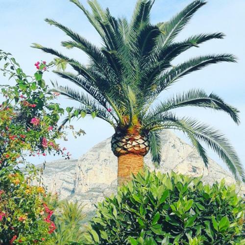 Apartment Paca Javea