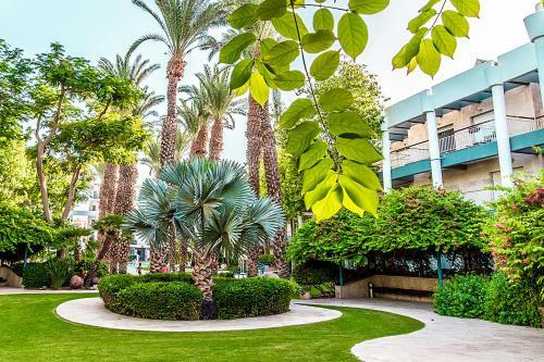 Apartamento Garden Suite & Pool