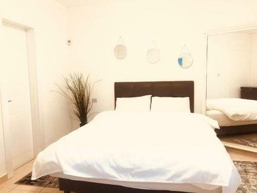 Sea Suite