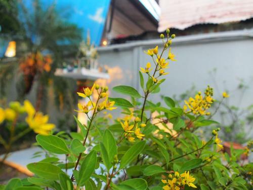 Bed & Breakfast Kinn Stay50 Bangkok