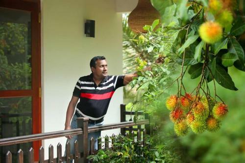 Villa Sada Diya Resort