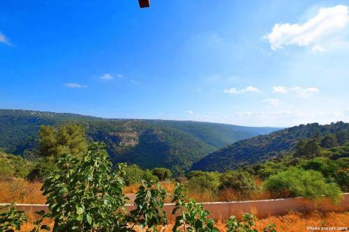 Hotel V Club Chalet & Suites -goren