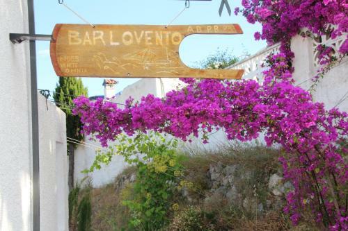 Barlovento