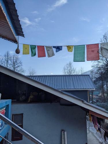 Locals Hostel