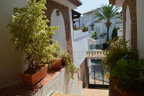 Apartamento Teresa A 50 M de Playa Y Gran Terraza