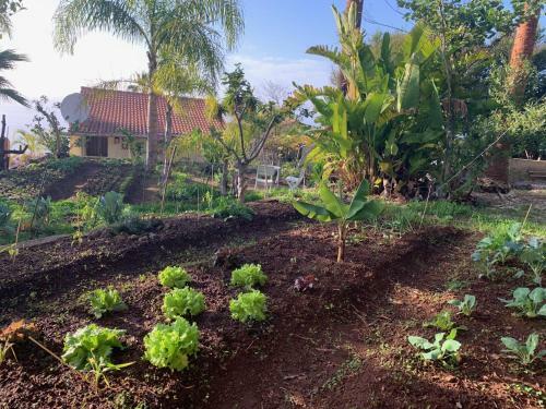 Apartamento Ferienwohnung Finca Monica