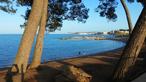Sant Briu