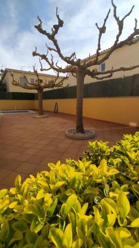Sant Briu