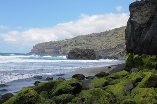 Finca La Plantaci�n _agroturismo