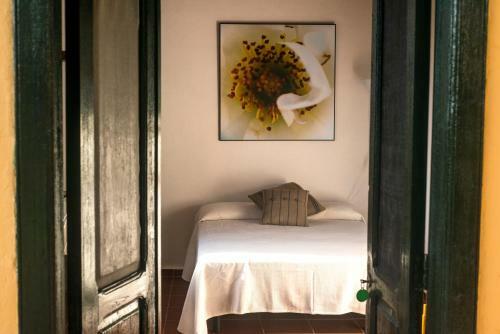 Finca La Plantaci�n _agroturismo
