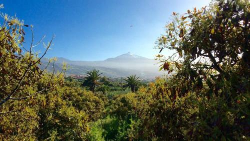 Finca La Plantaci�n _agroturismo
