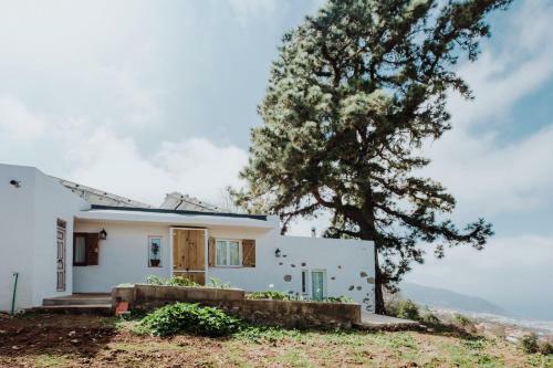 Villa El Pino Centenario 8